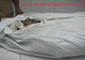 image\eventpic\SindhMadressa\small\11.jpg